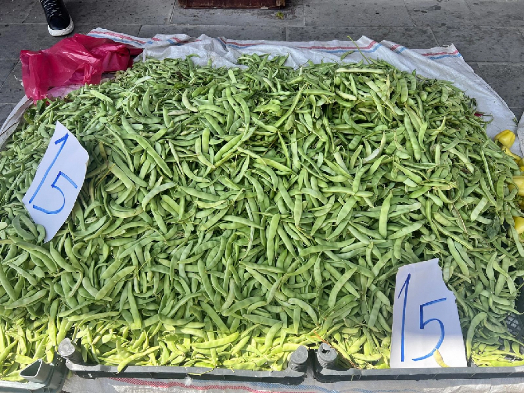 Elazığ'da kilosu 50 liradan 15 liraya düştü vatandaşlar kilolarca aldı