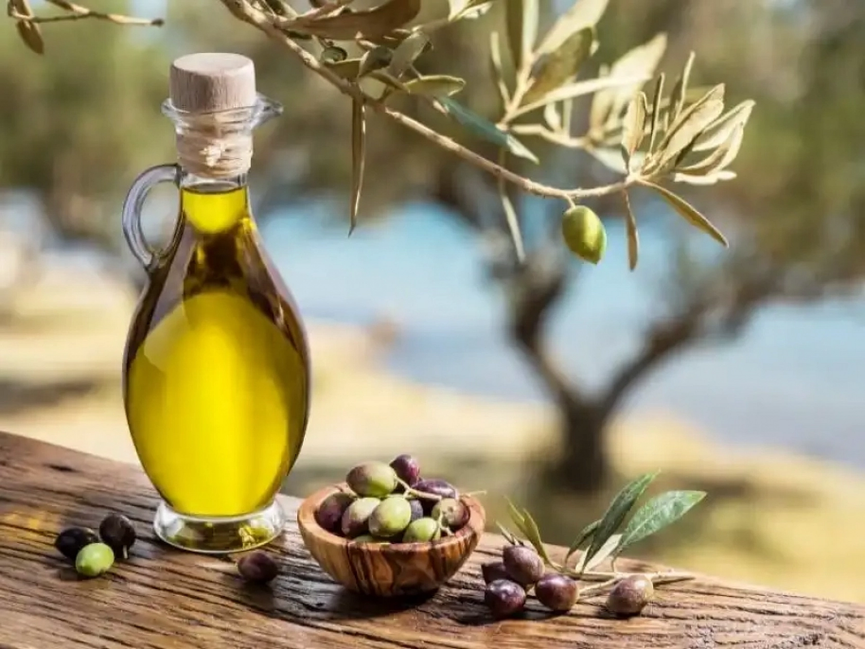 Elazığ'da Yok Satıyor! Demanstan Ölme Riskini Azaltıyor!