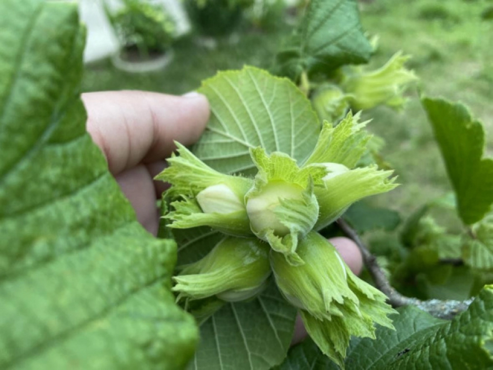 Bu Mesleği Yapanlar Yaşadı Saatte 3 Bin 500 TL Kazanıyorlar