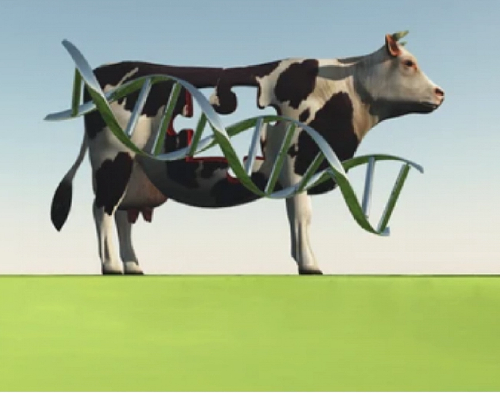 Ödemeler Hesaplara Yatırıldı: Elazığlılar, Hesaplarınızı Kontrol Edin!