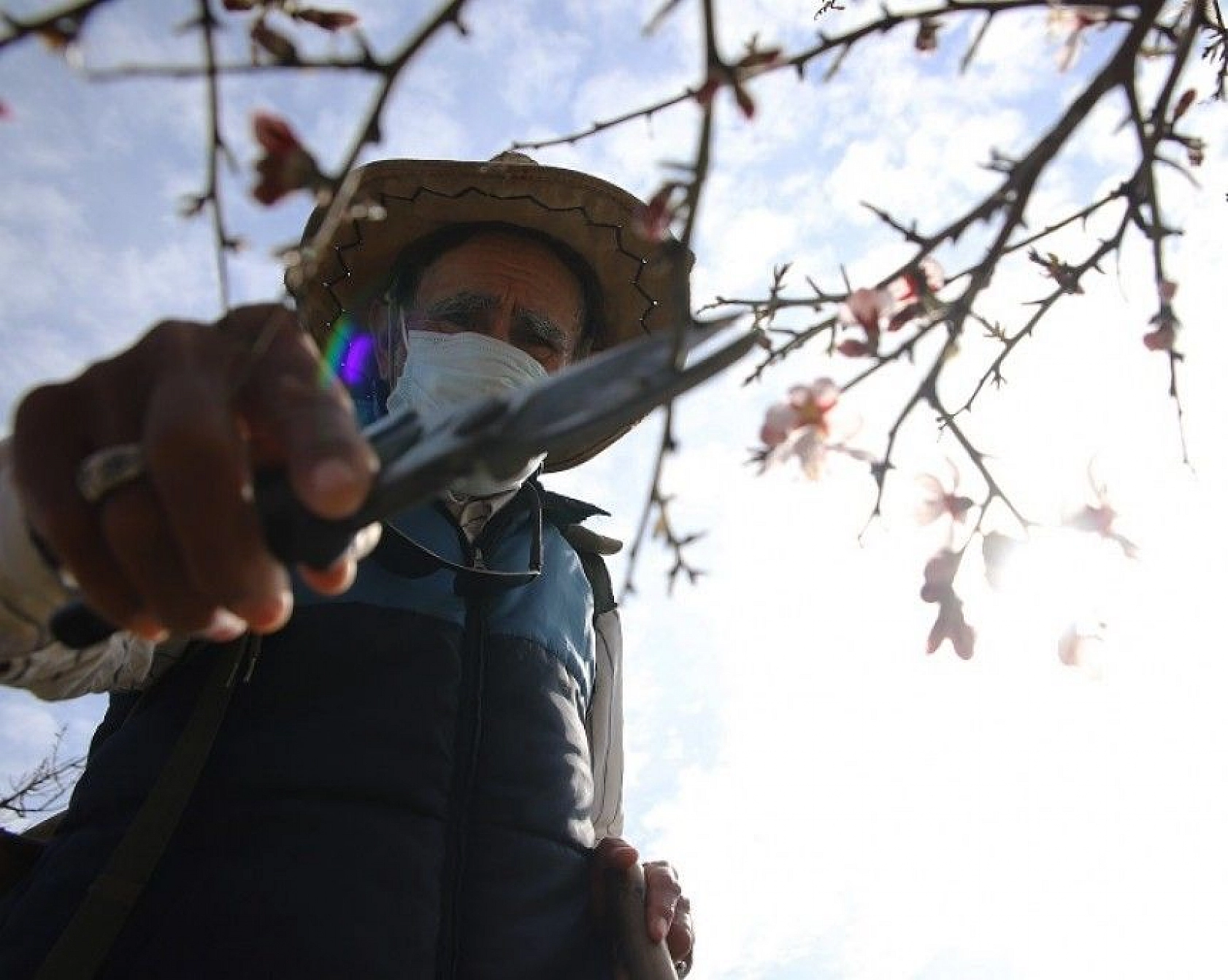 Adada çiçekler açtı