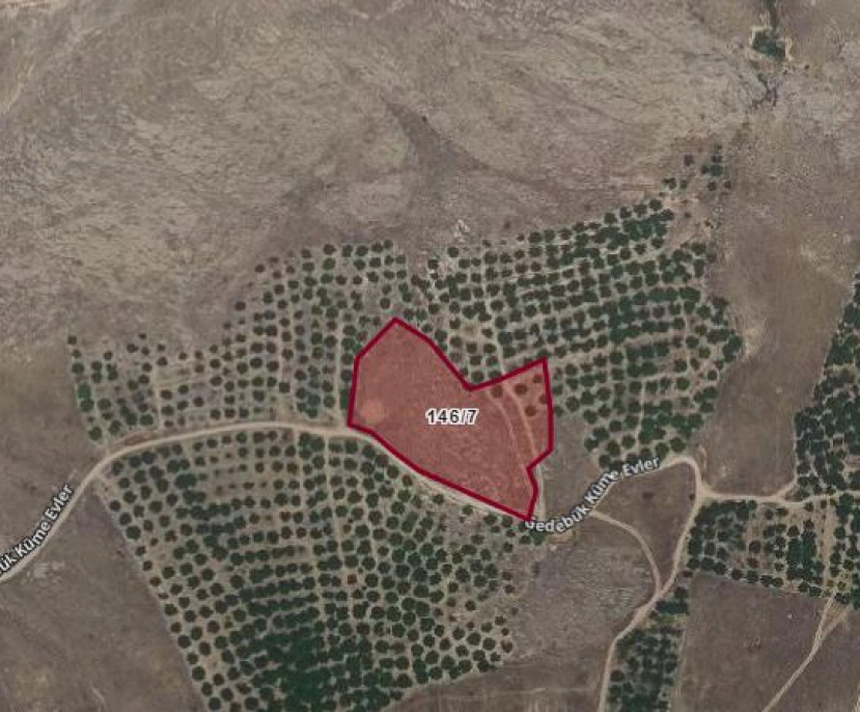 Elazığ'da o ilçede arsa satışı: 15 bin lirası olanın tapusu cebinde