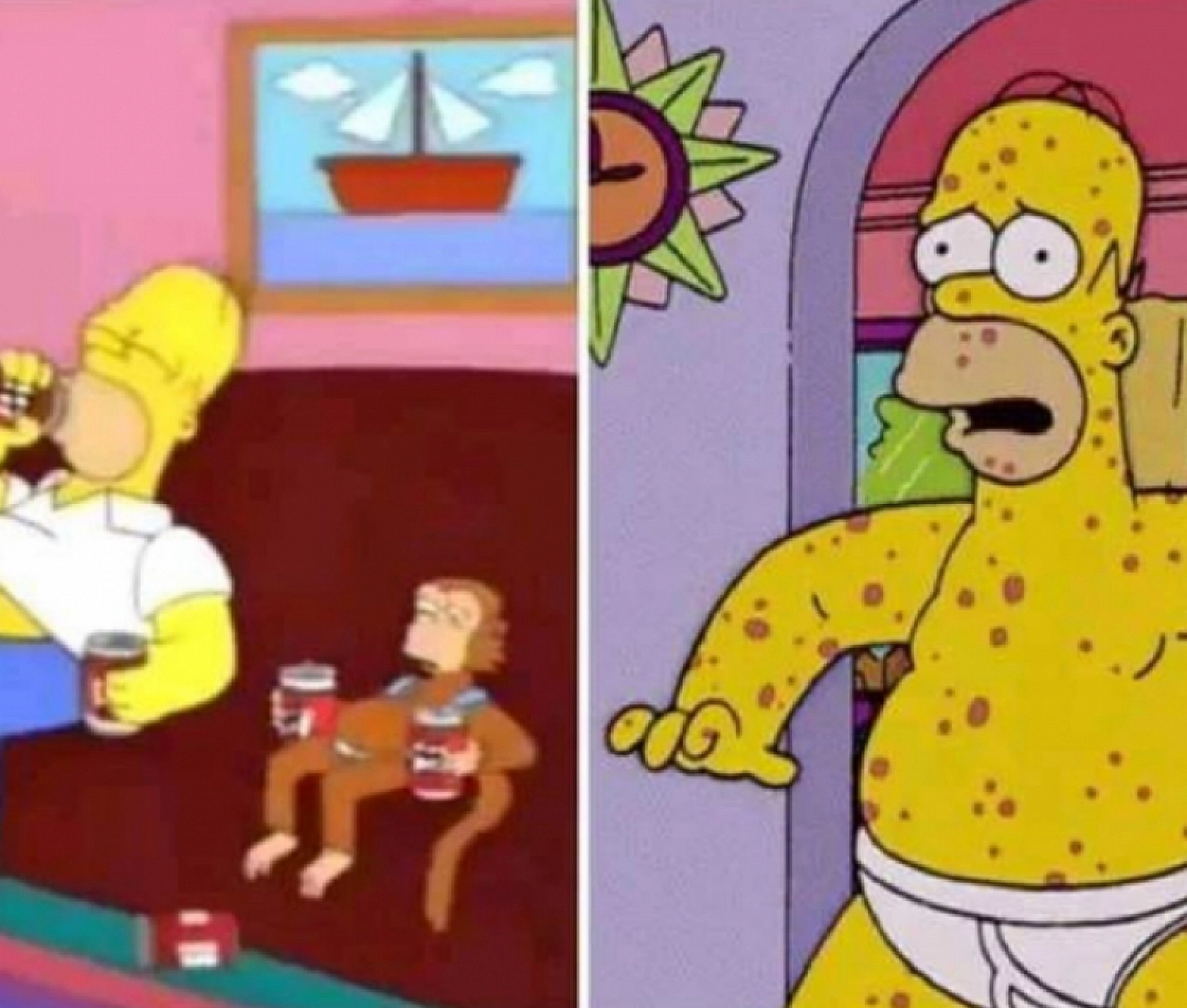 Simpsonlar Maymun Çiçeği Virüsünü de Bildi!