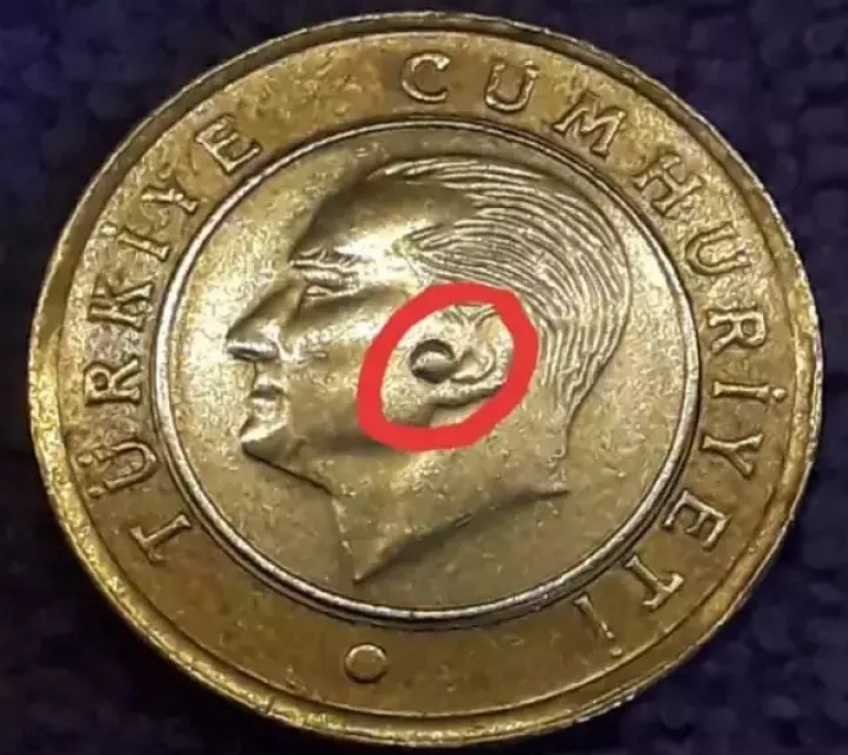 1 TL'nin değeri katlanıyor: Artık tanesi 456 TL ediyor!