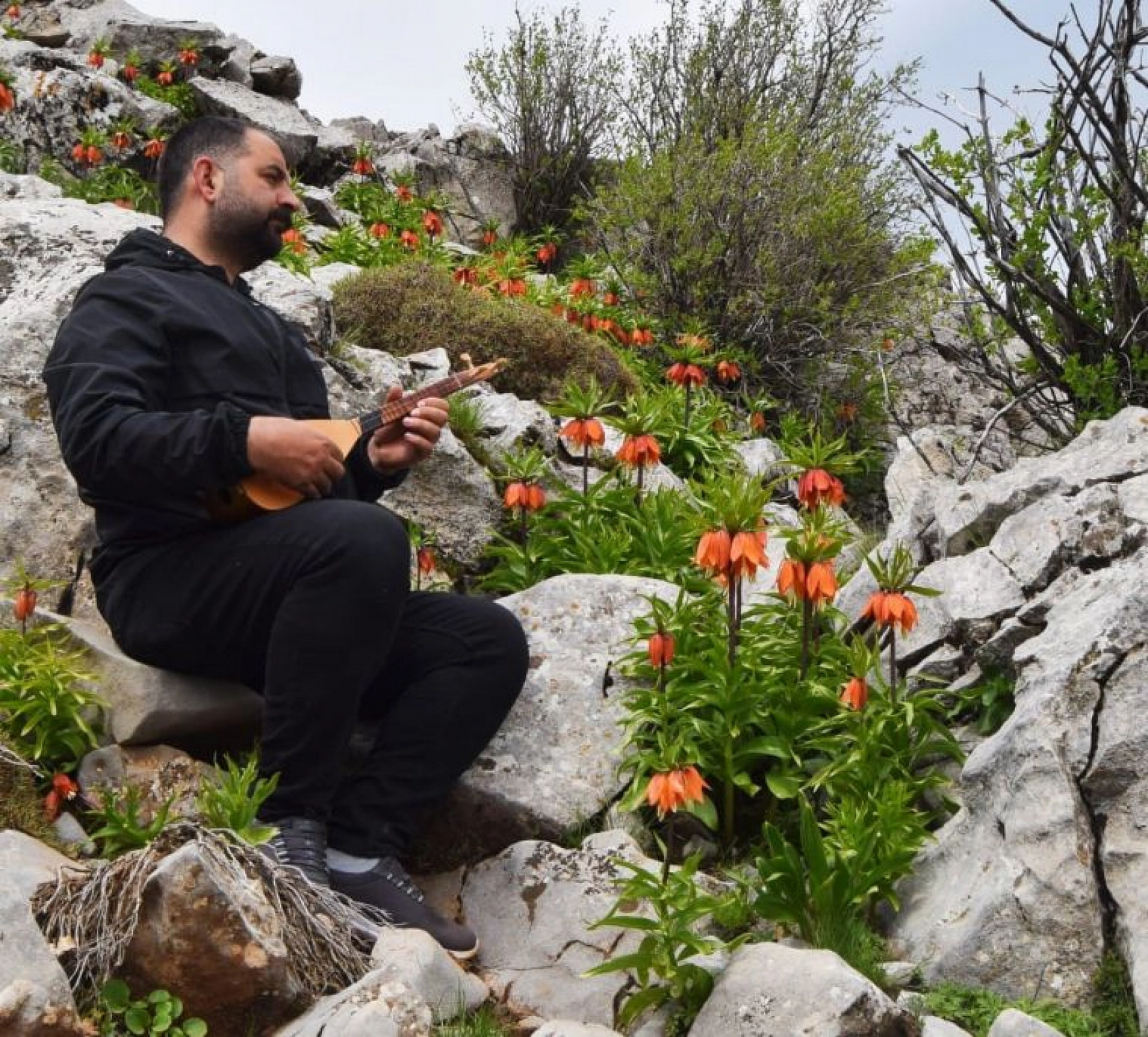 Cebinizde 244 bin lira olmadan bu çiçeği kopartmayın