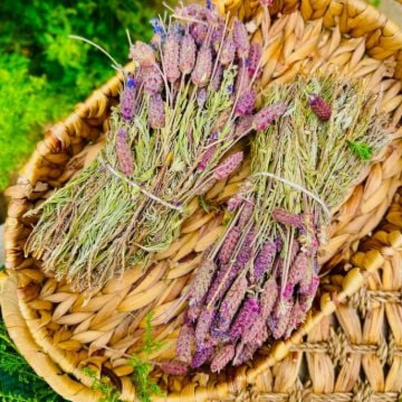 Elazığ Bu İlletten Kurtulacak!