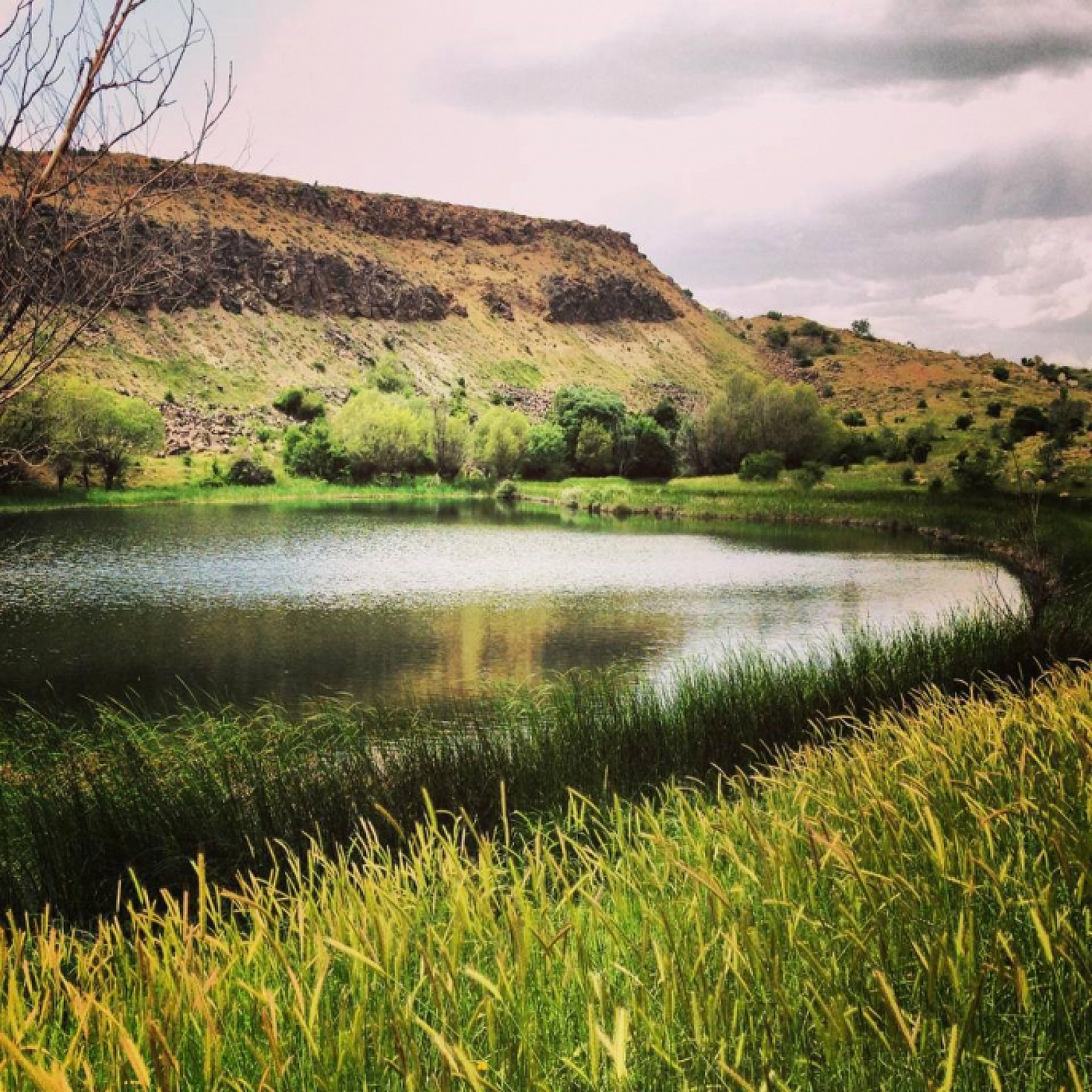 Elazığlıların çoğu burayı bilmiyor! Adeta cennetten bir köşe gibi...