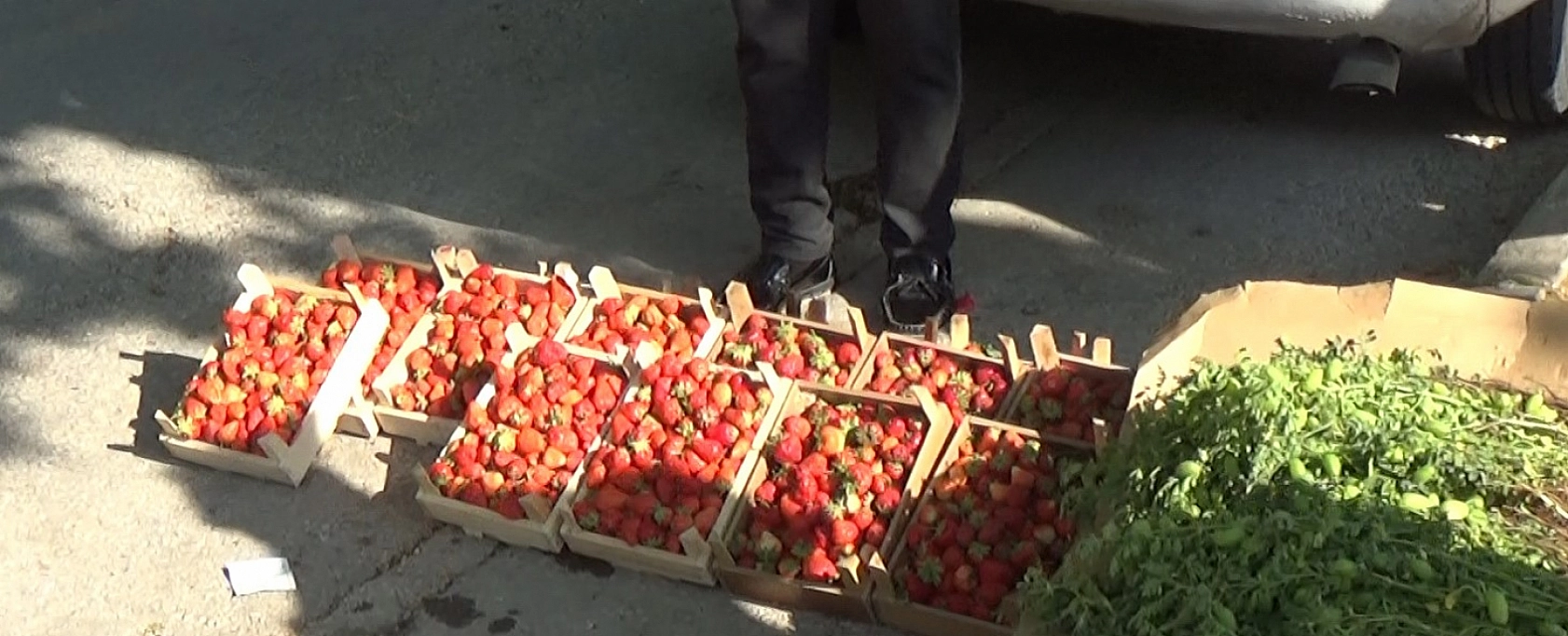 Elazığ'da Çilek, Çilek Olalı Böyle Coşku ve Talep Görmedi!
