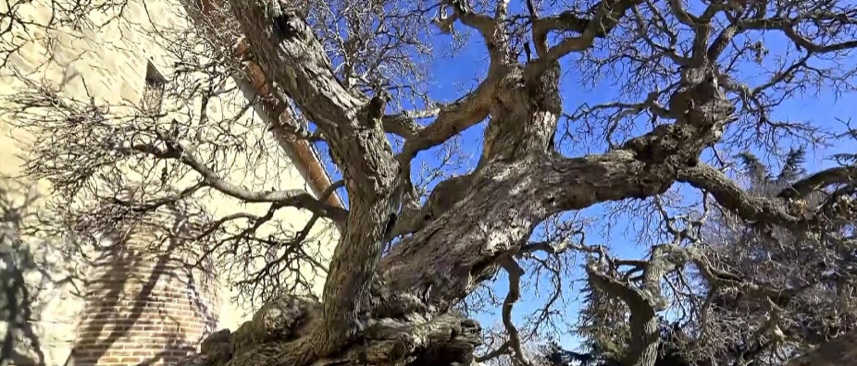 Turistler duyuca hemen telefona sarılıyor! Harput'taki efsaneyi duyduklarında şaşıp kalıyorlar