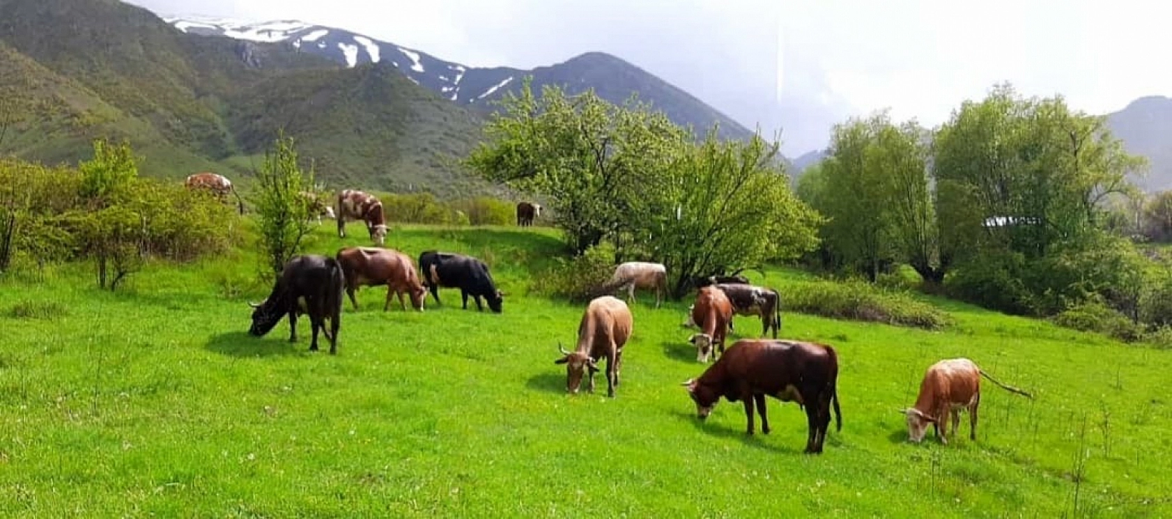 Elazığ'daki Bu Köyü Duymayan Kalmasın: Muhteşem Doğasıyla Geleceğin Yıldızı Olacak