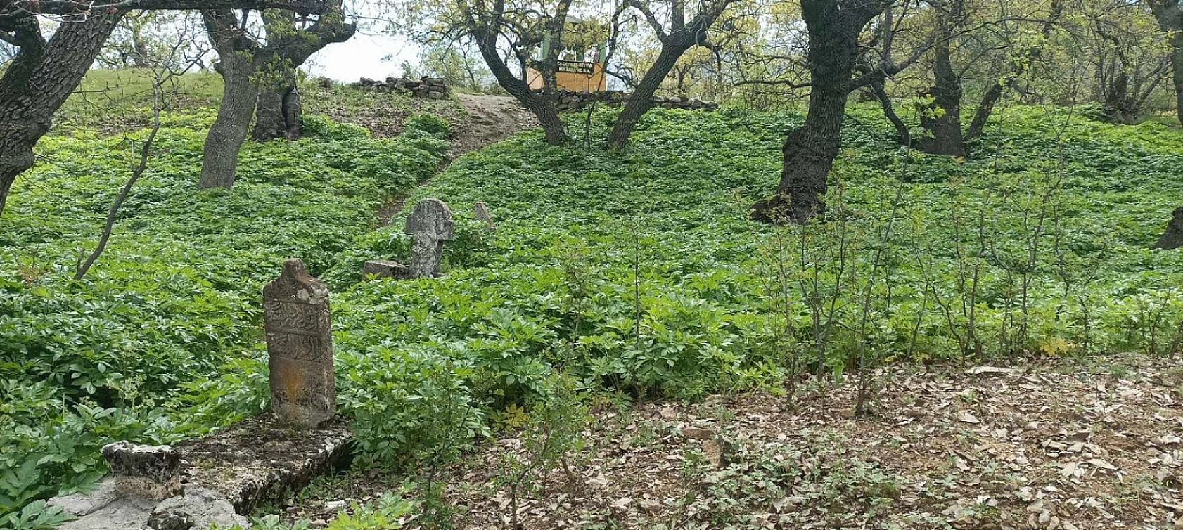 Elazığ'da Geleceğin Yıldızı Olmaya Aday Olan Bu Köy, Görenleri Büyülemeye Devam Ediyor!