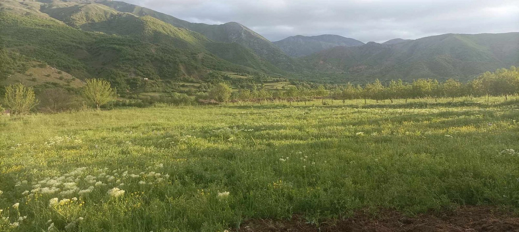 Elazığ'da Geleceğin Yıldızı Olmaya Aday Olan Bu Köy, Görenleri Büyülemeye Devam Ediyor!