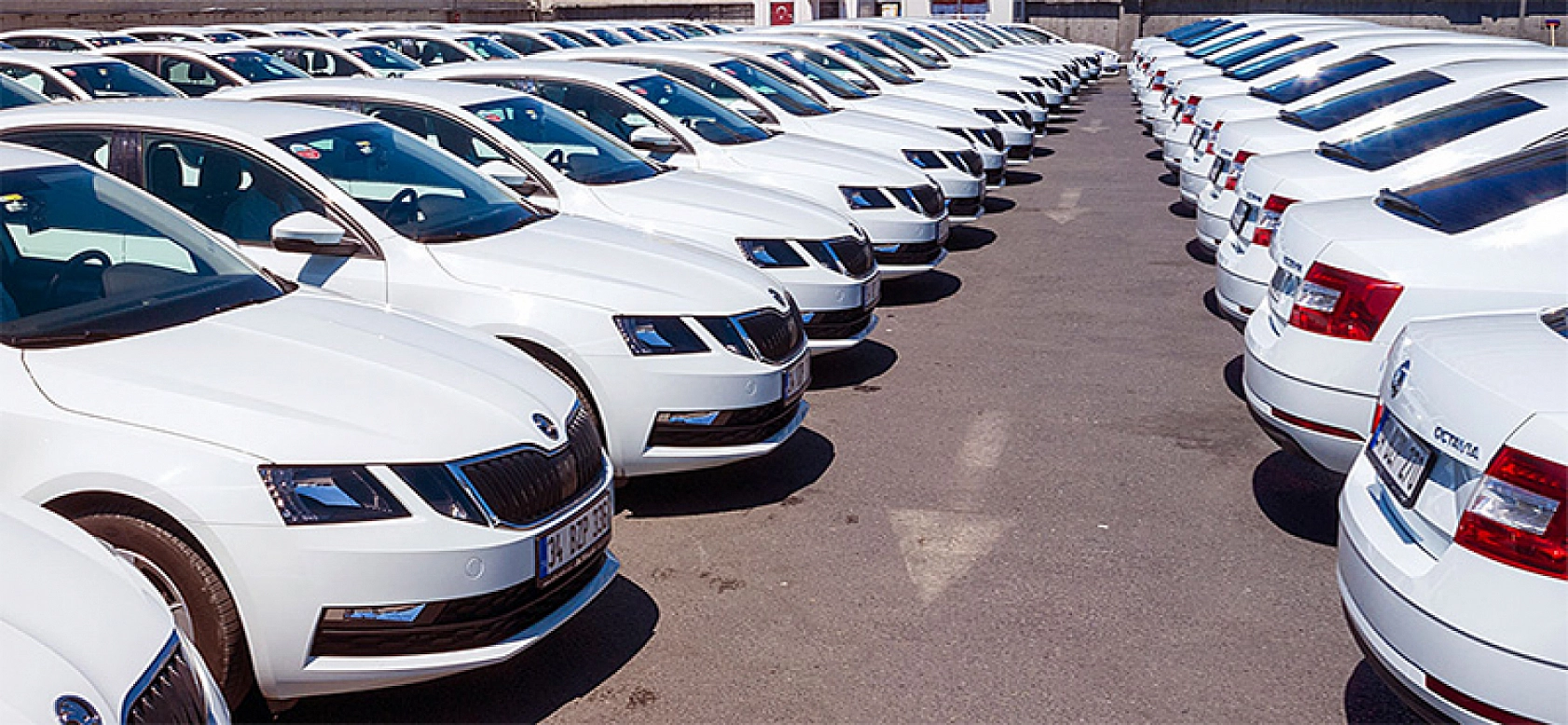 Elazığ'a Uyarı Geldi: Ucuzluğuna Kanıp Kabul Etmeyin!