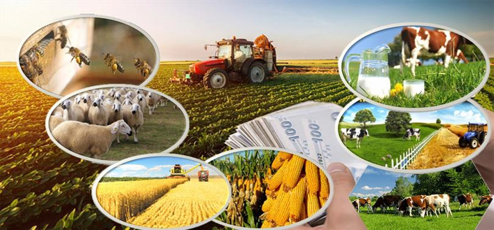 Ödemeler Hesaplara Yatırıldı: Elazığlılar, Hesaplarınızı Kontrol Edin!