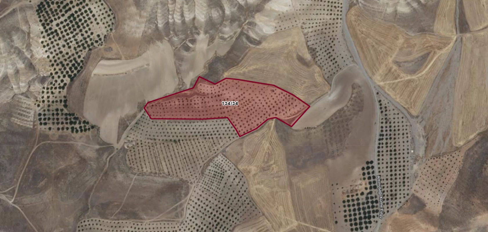 Elazığ Baskil'de 27 dönümlük kayısı bahçesi icradan satışa çıkıyor… Değerinden aşağıya satılacak