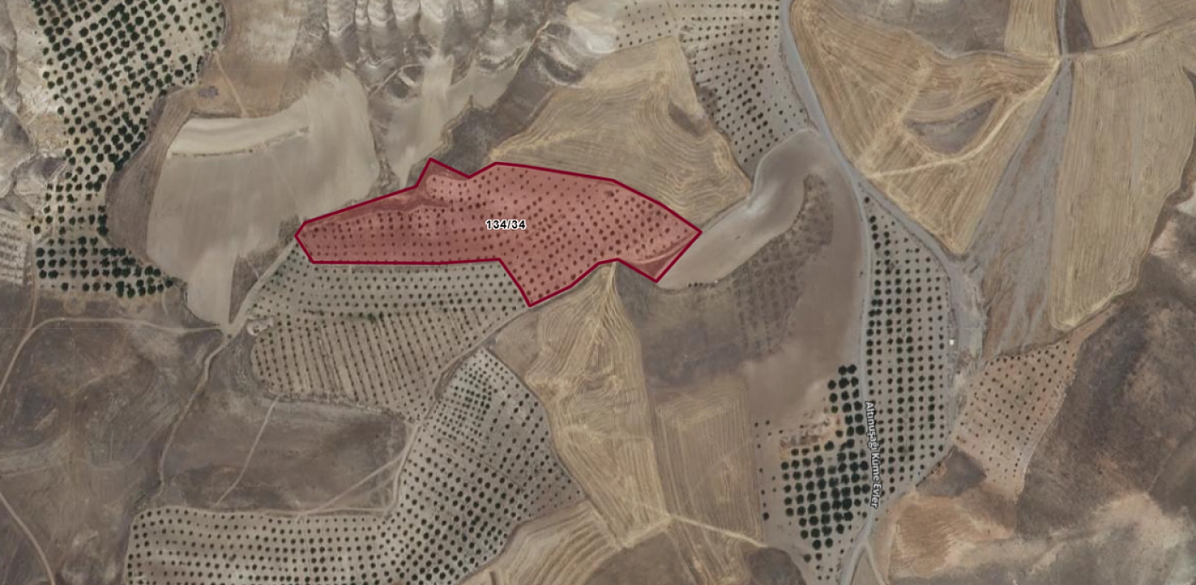 Elazığ Baskil'de 27 dönümlük kayısı bahçesi icradan satışa çıkıyor… Değerinden aşağıya satılacak