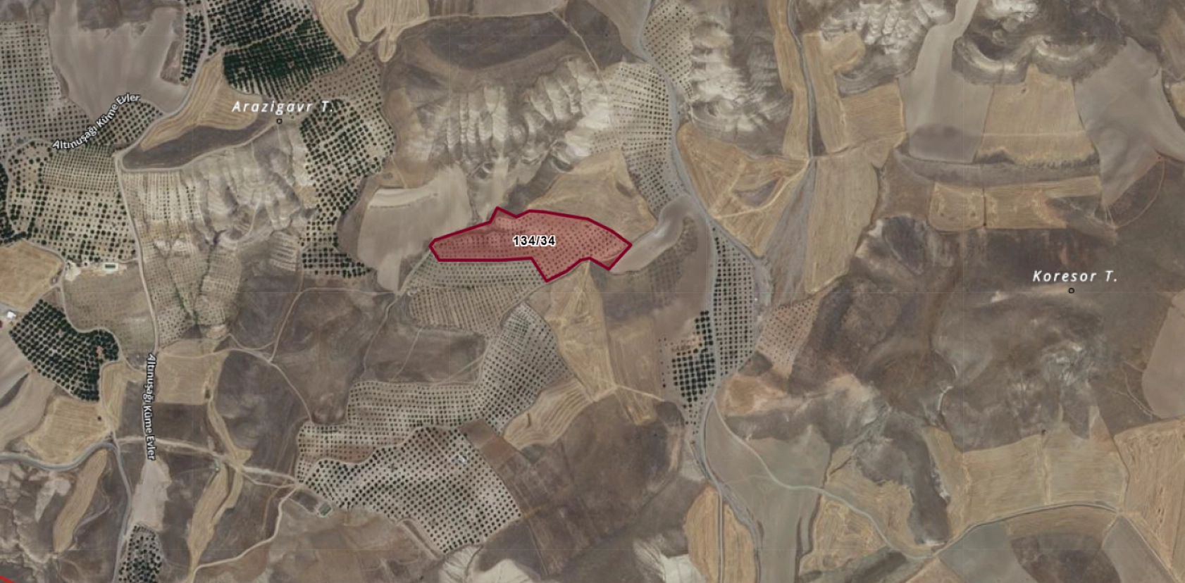 Elazığ Baskil'de 27 dönümlük kayısı bahçesi icradan satışa çıkıyor… Değerinden aşağıya satılacak