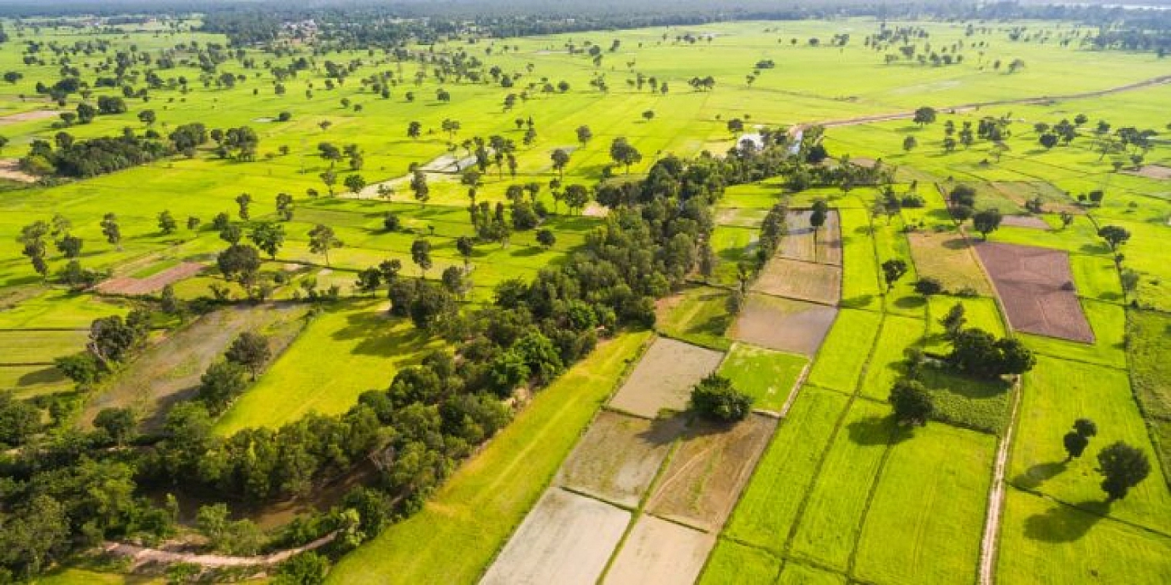 Aralarında Elazığ da var! TOKİ sudan ucuz arsa satacak