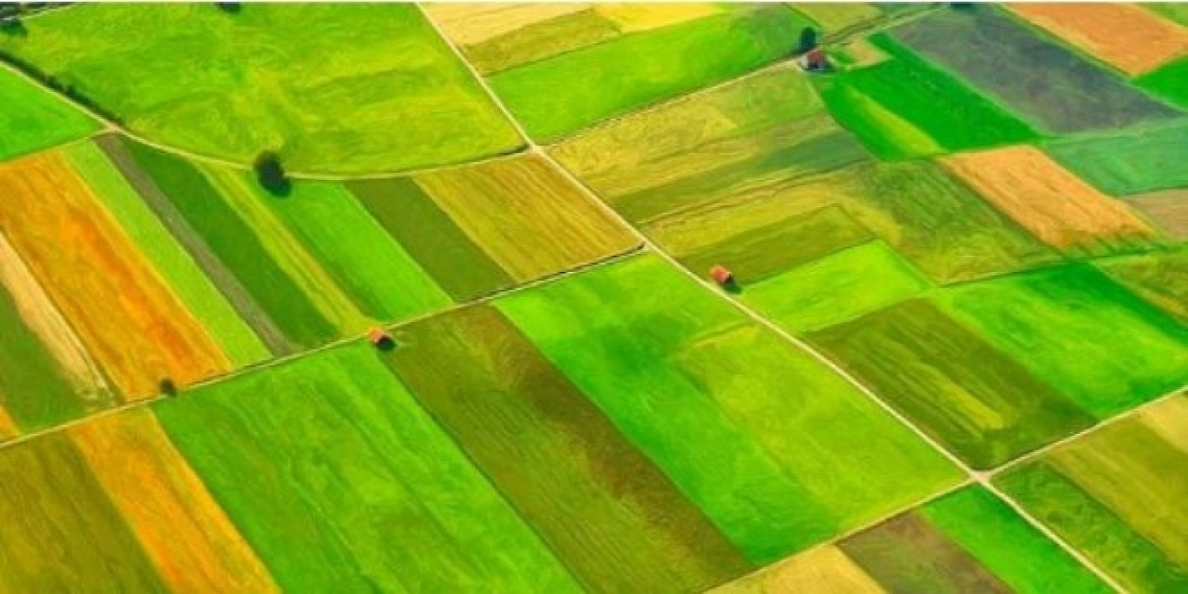 TOKİ'de kaçırılmayacak fırsat! 32 ilde sudan ucuz arsa