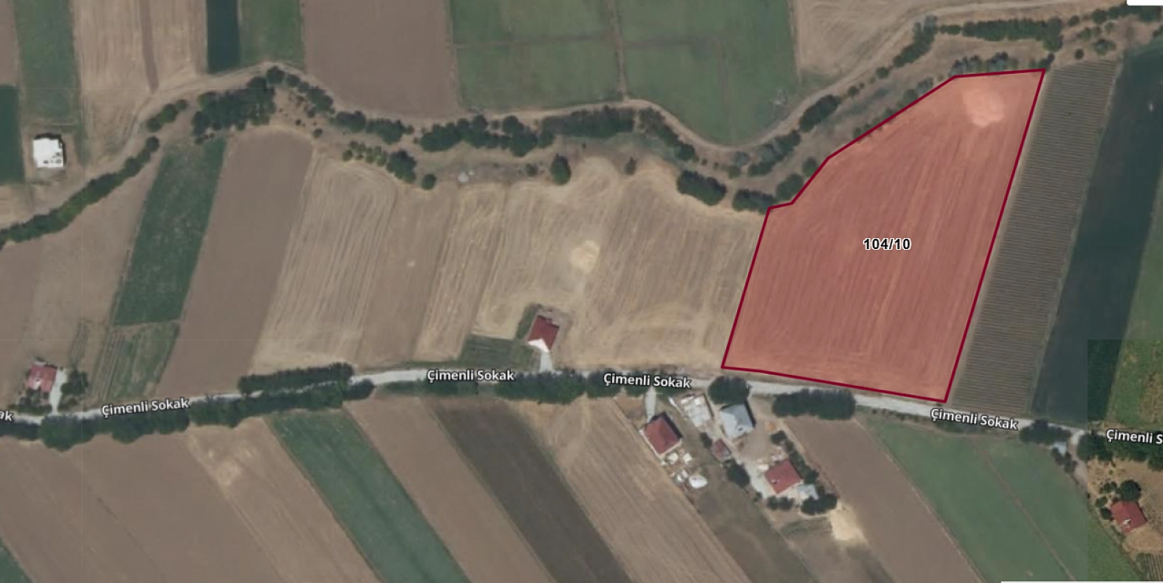 Bu tarlayı alan kazanacak! Elazığ'da icradan satışa çıkıyor…
