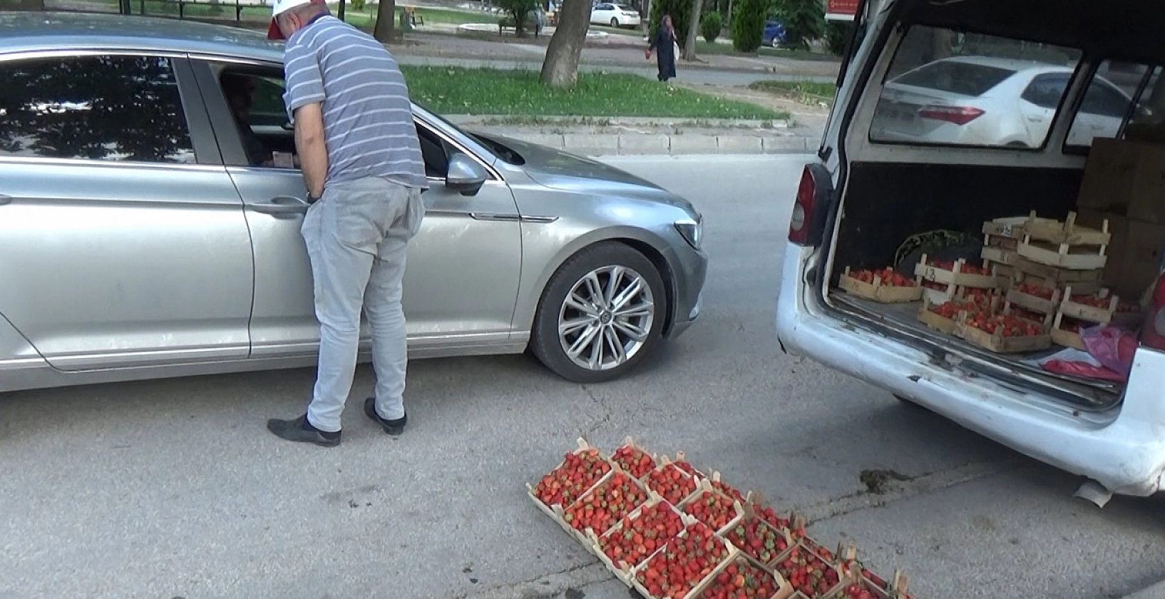 Elazığ'da Çilek, Çilek Olalı Böyle Coşku ve Talep Görmedi!