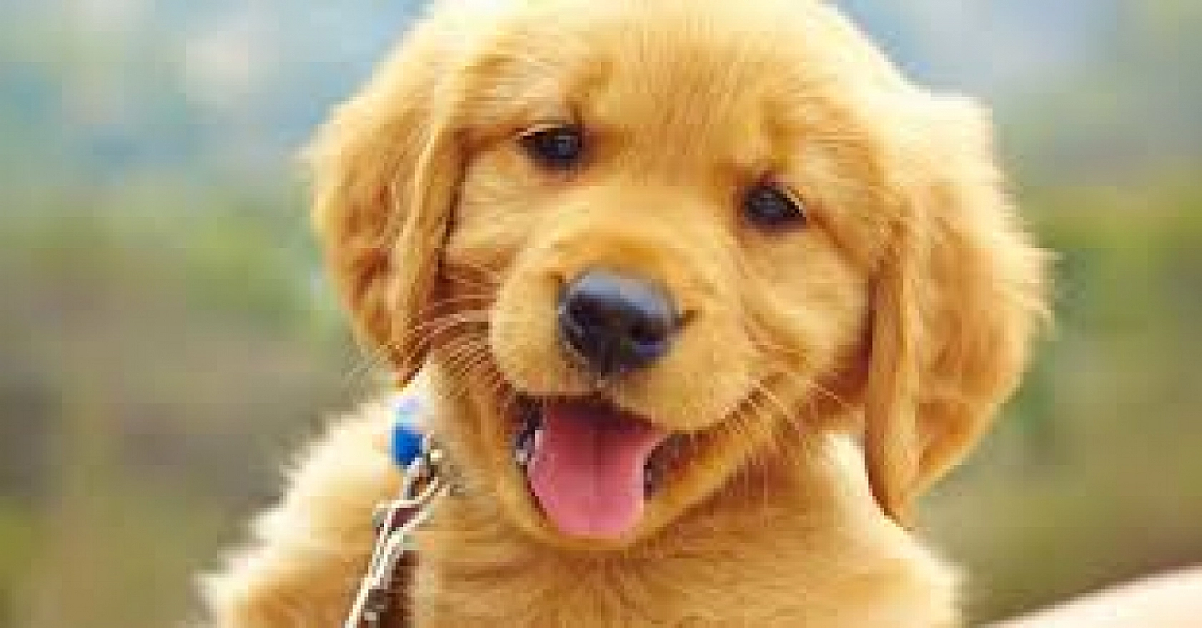 Elazığ'da Birçok Evde Bulunuyor: Kalp Sağlığınız İçin Siz de Edinin!