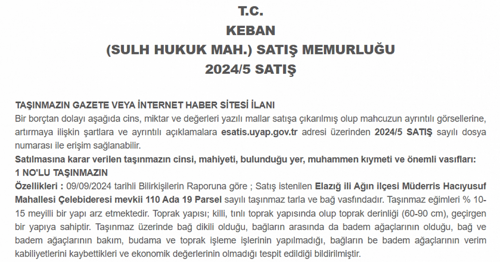 Elazığ'da 8 dönümlük tarla 1 milyon TL'ye ihaleye çıkacak! Kaçıran üzülür