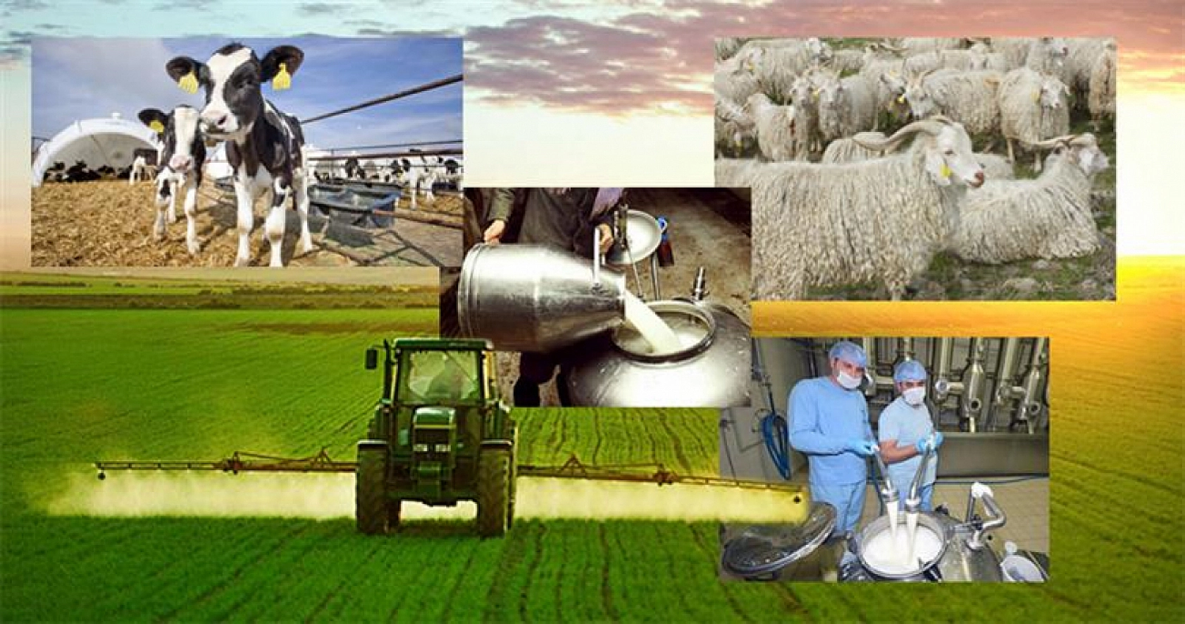 Ödemeler Hesaplara Yatırıldı: Elazığlılar, Hesaplarınızı Kontrol Edin!