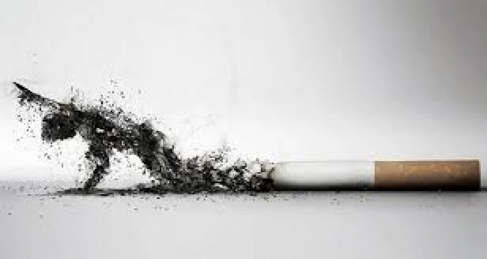 Sigaraya Kallavi Zam!