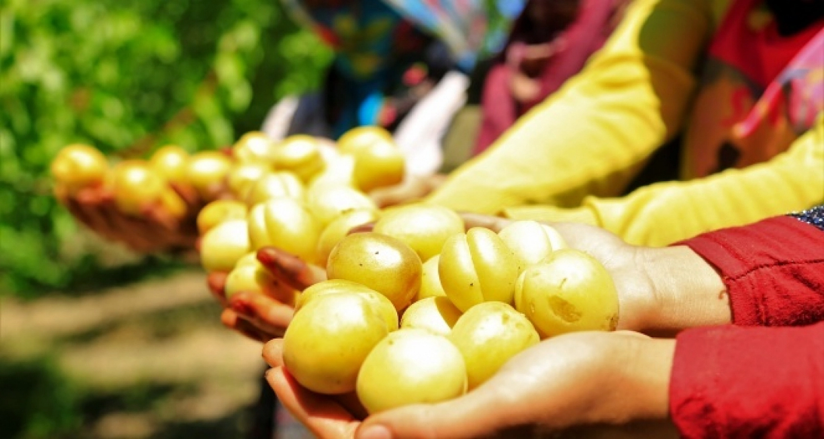 Elazığ'ın o ilçesi ve Malatya'ya döviz yağacak