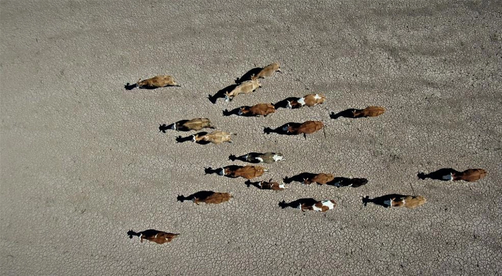 Elazığ'ın Fakirliği Tescillendi!
