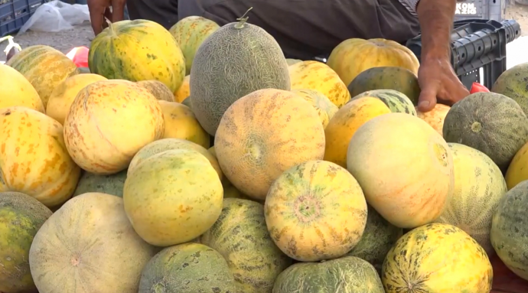 Elazığ'a gelip bir dilim yiyen bir daha vazgeçemiyor! Sadece Elazığ'da yetişiyor