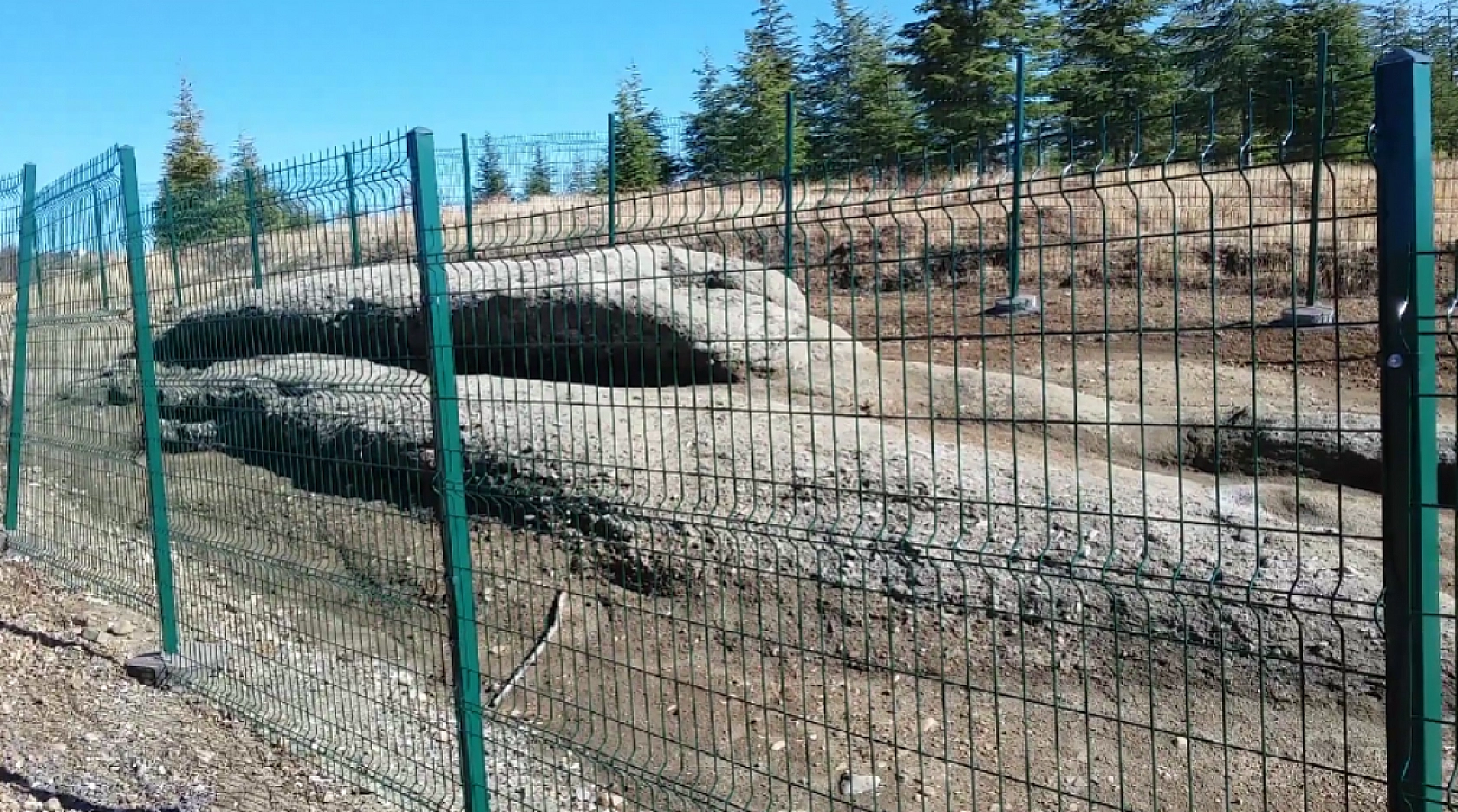 Elazığ'da ejderha görülmüş! Harput'ta taş kesilen ejderhanın gizemi halen konuşuluyor