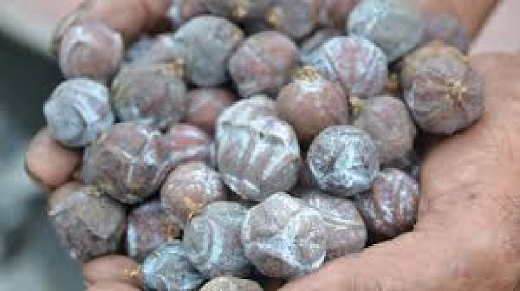 Hemşerimizin gizli reçetesi, hem tok tutuyor hem zayıflatıyor