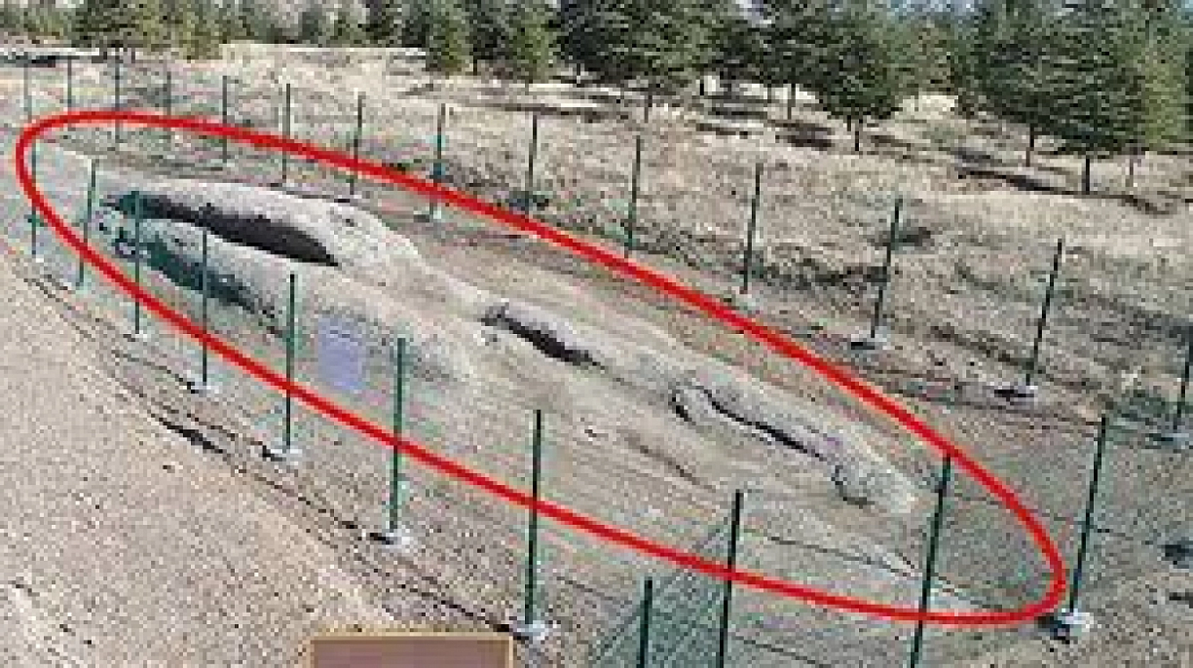 Elazığ'daki Bu Alanın Dünyada Eşi Benzeri Yok, Japon Filmlerini Kıskandıracak Bir Hikayesi de Var