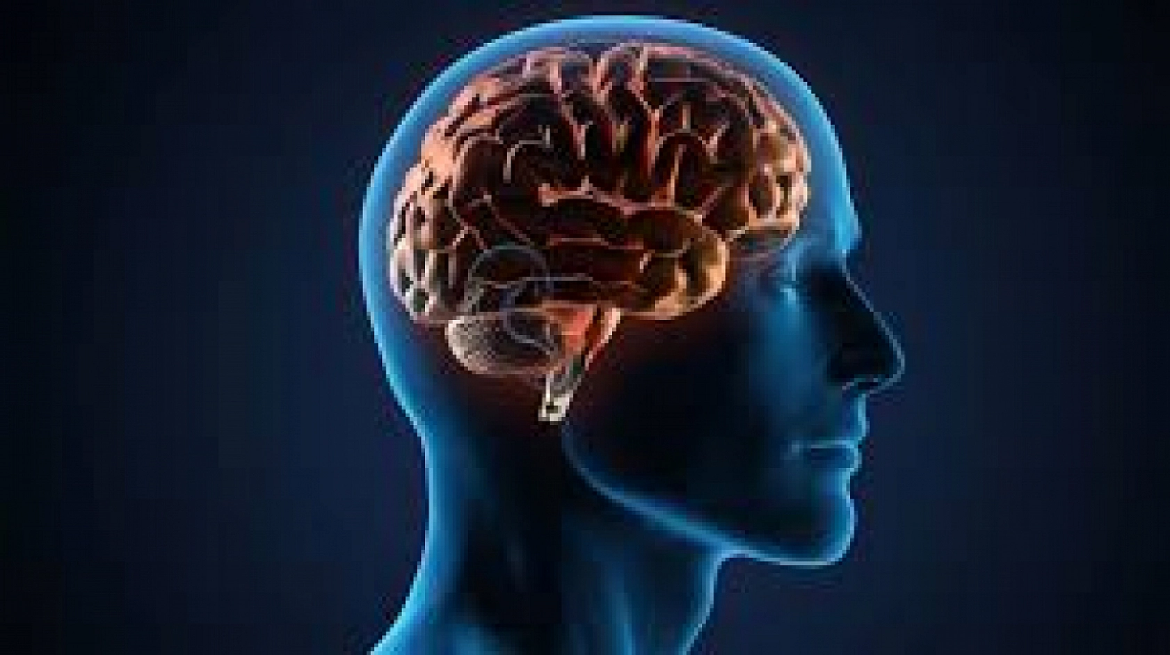 2024'ün kelimesi belli oldu: tam isabet