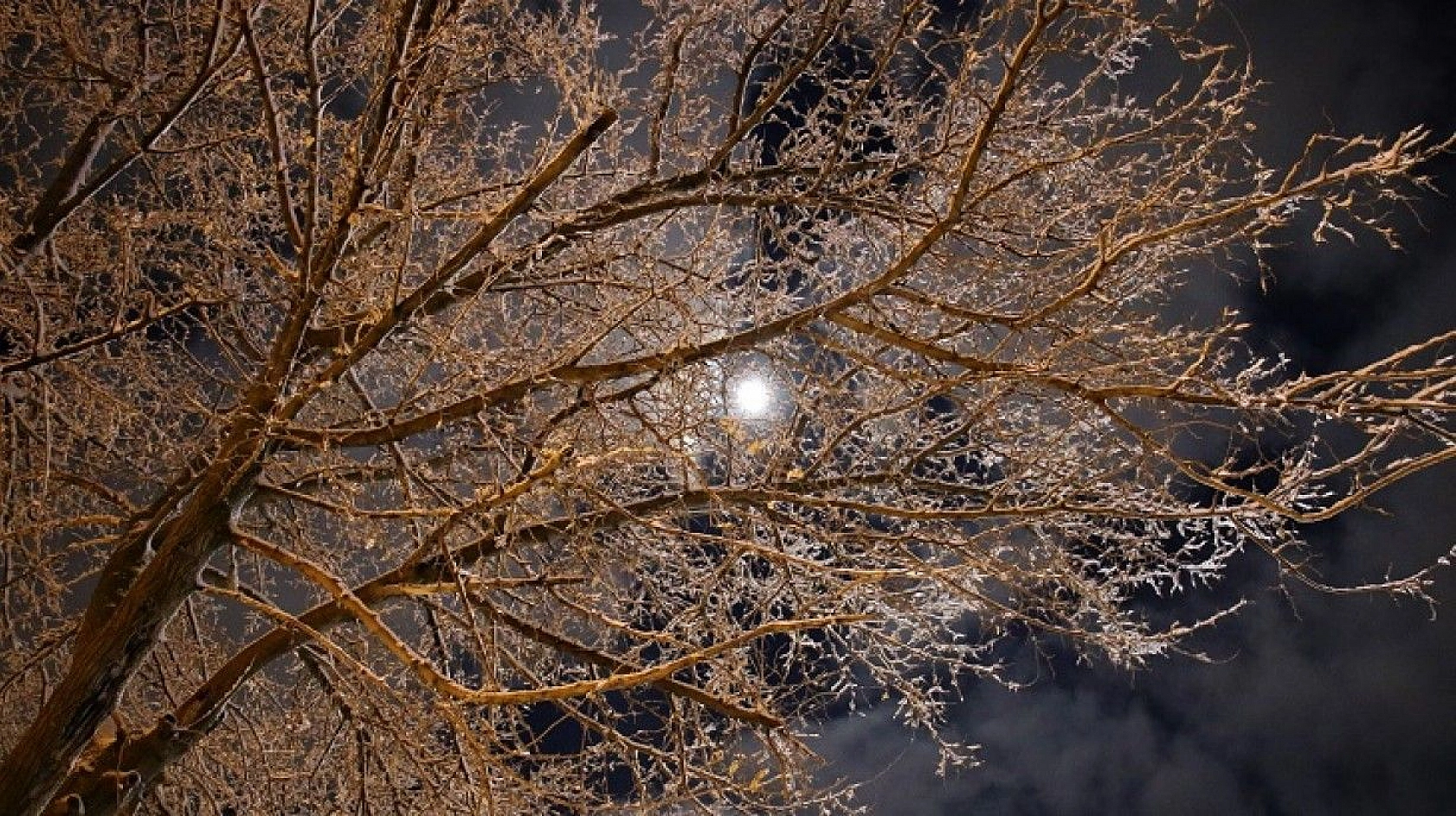 Karla kaplı Harput'ta ışıklarla görsel şölen