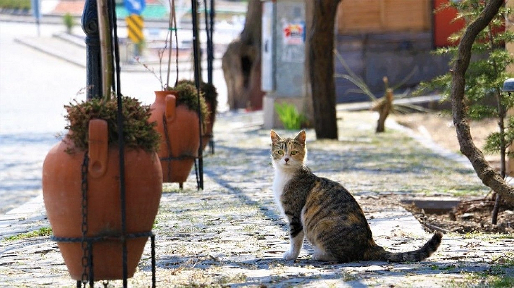 Harput, kısıtlama ile tekrar boş kaldı