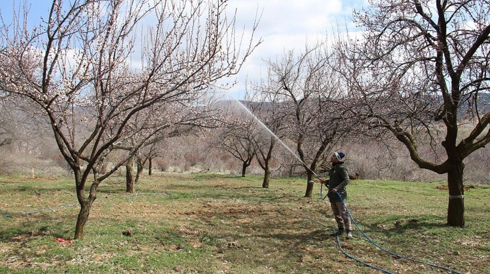 Elazığ'da ağaçlar beyaz gelinliğini giydi, muhteşem görüntü ortaya çıktı