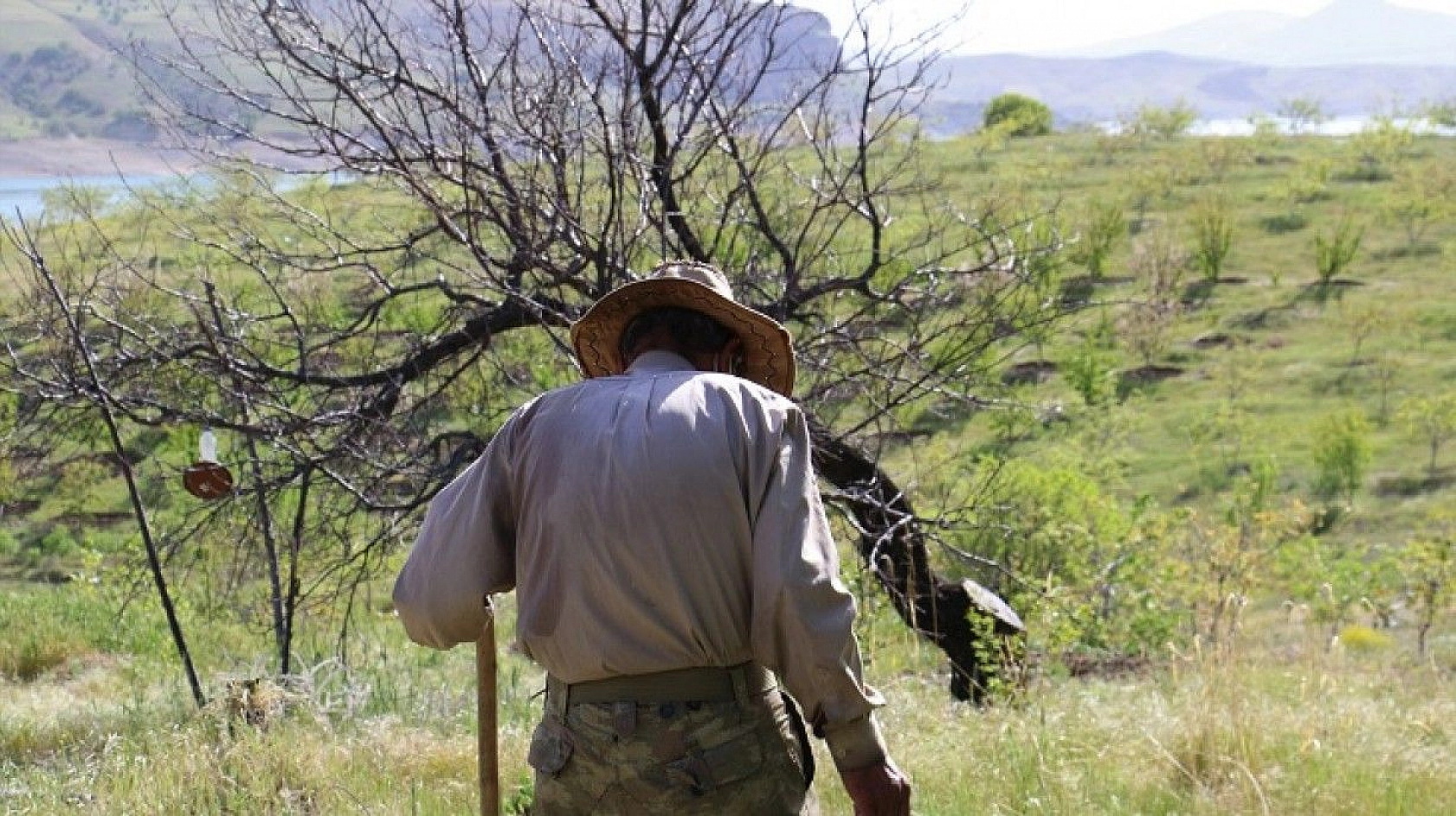Robinson Ziya dedenin adası baharla birlikte yeşile büründü