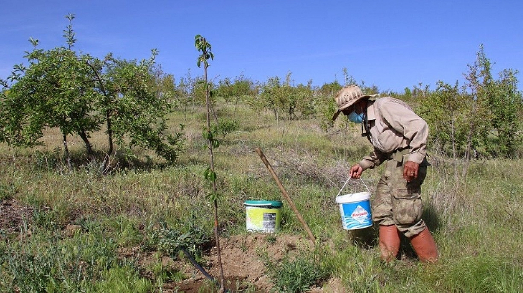 Robinson Ziya dedenin adası baharla birlikte yeşile büründü