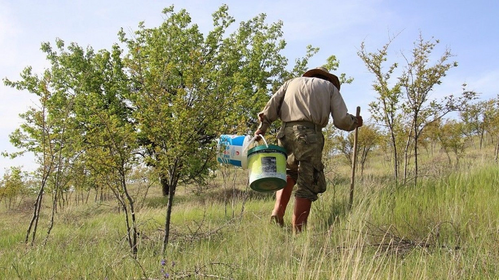 Robinson Ziya dedenin adası baharla birlikte yeşile büründü