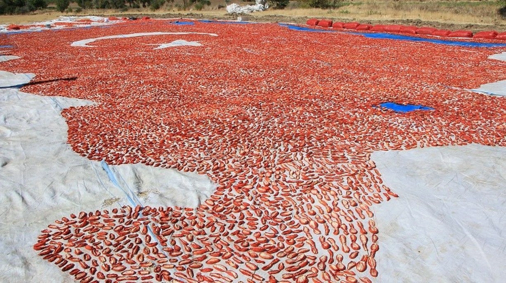 Kurutmalık domateslerle ay yıldızlı Türkiye haritası oluşturuldu