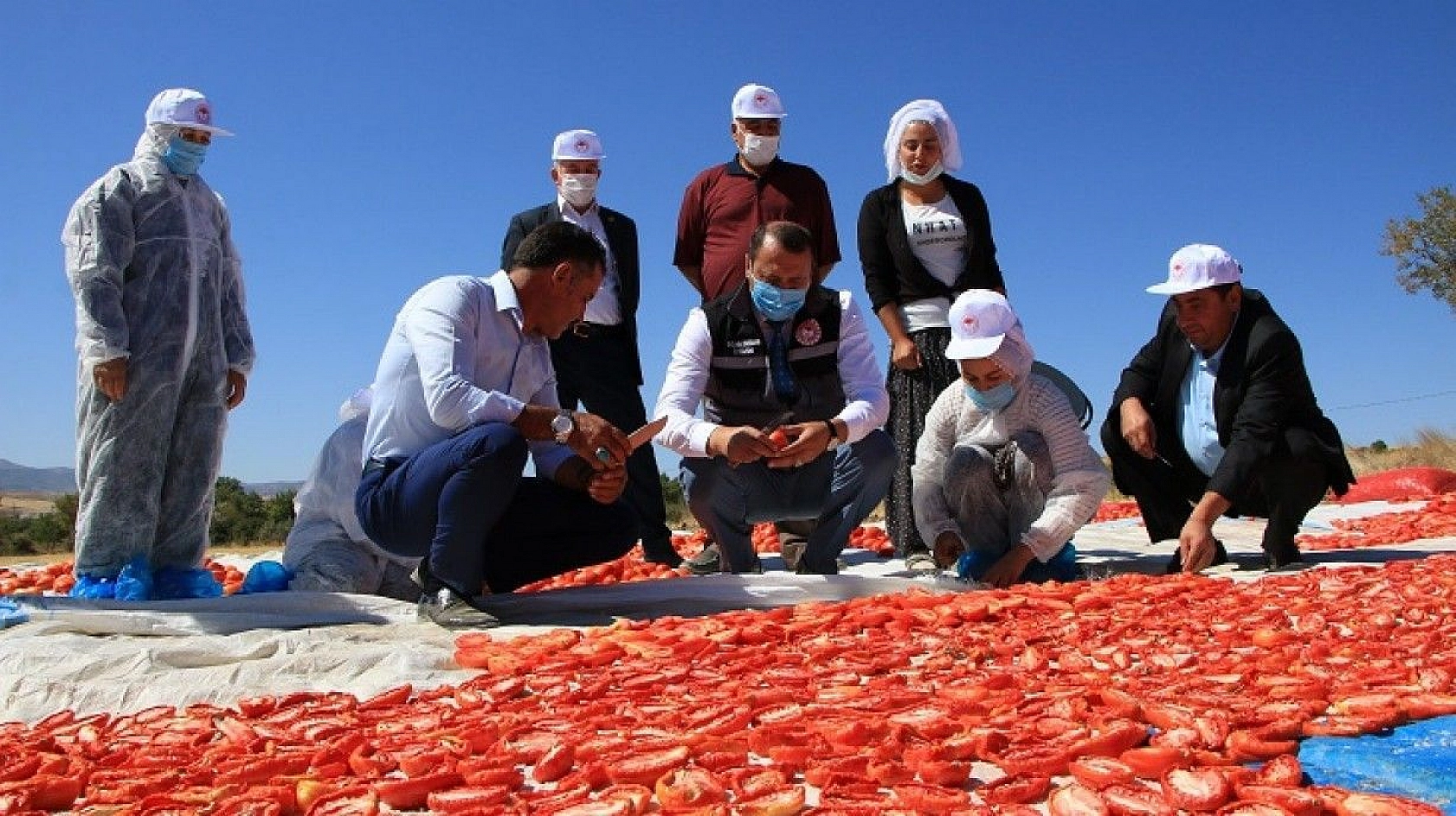 Kurutmalık domateslerle ay yıldızlı Türkiye haritası oluşturuldu