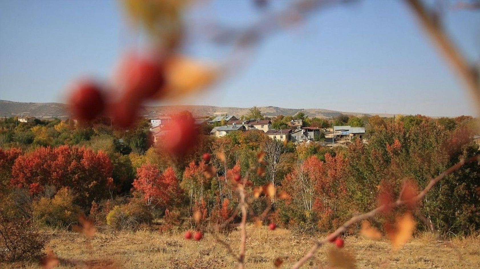 Elazığ'da sonbaharda rengarenk olan ağaçlar havadan görüntülendi