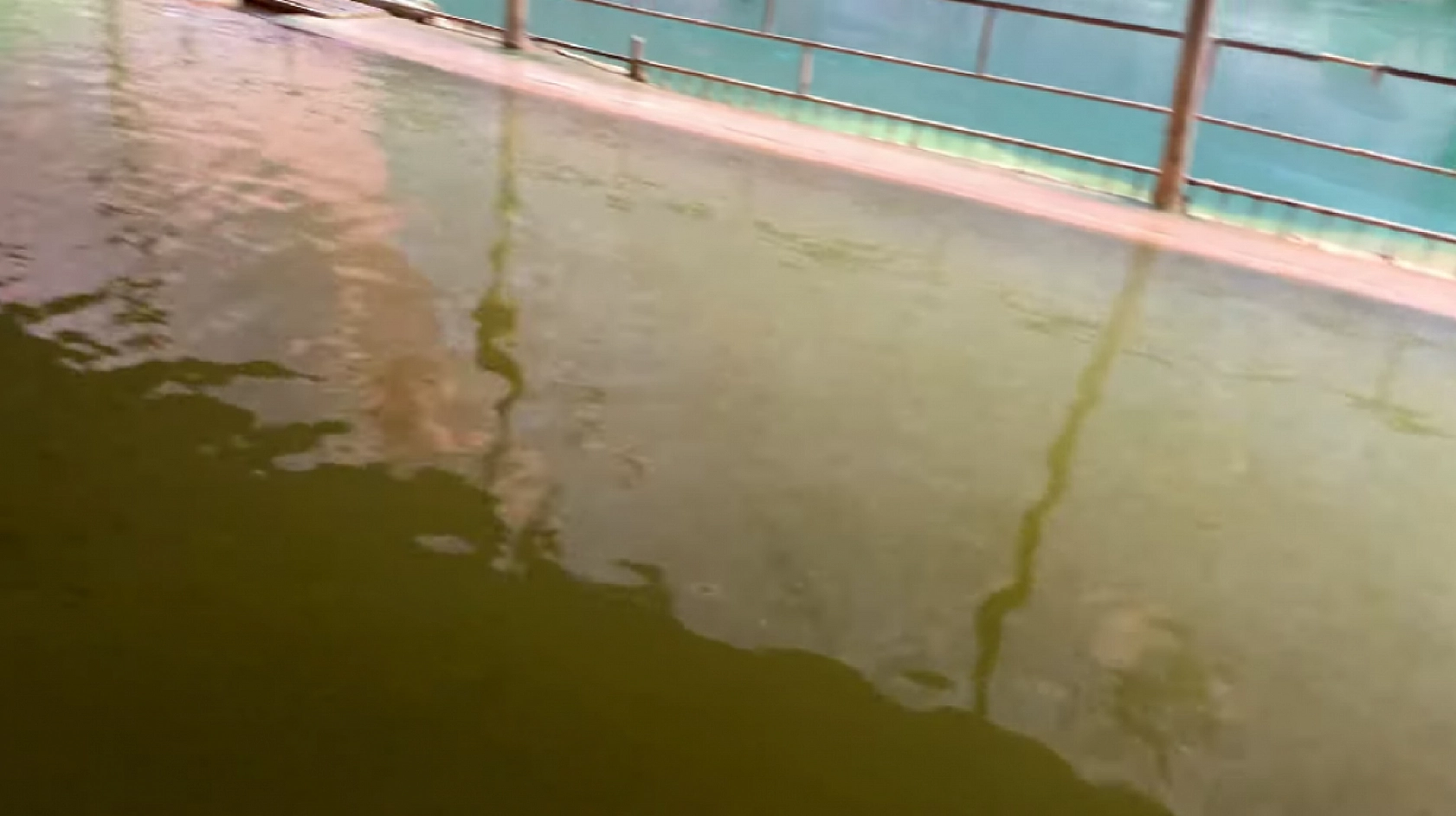 Elazığ'da şifa arayanlar buraya akın ediyor! Her yıl on binlerce insan geliyor…