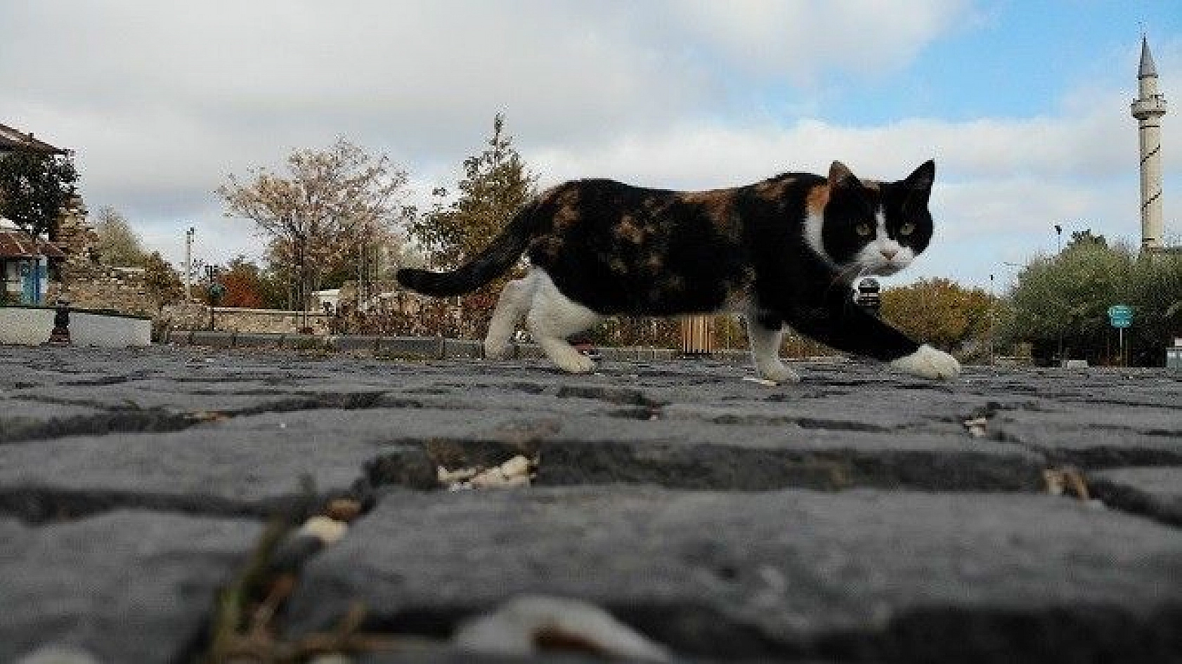 Sessizliğe Bürünen Medeniyetler Beşiği Harput'ta Sonbahar Güzelliği
