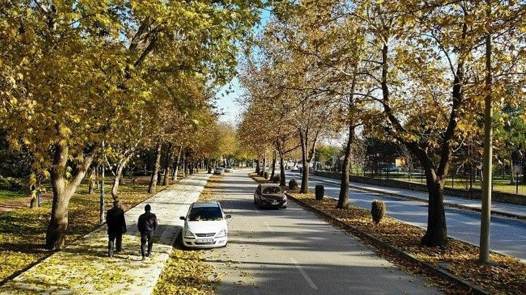 Elazığ'da sonbaharın son demleri görsel şölen oluşturuyor