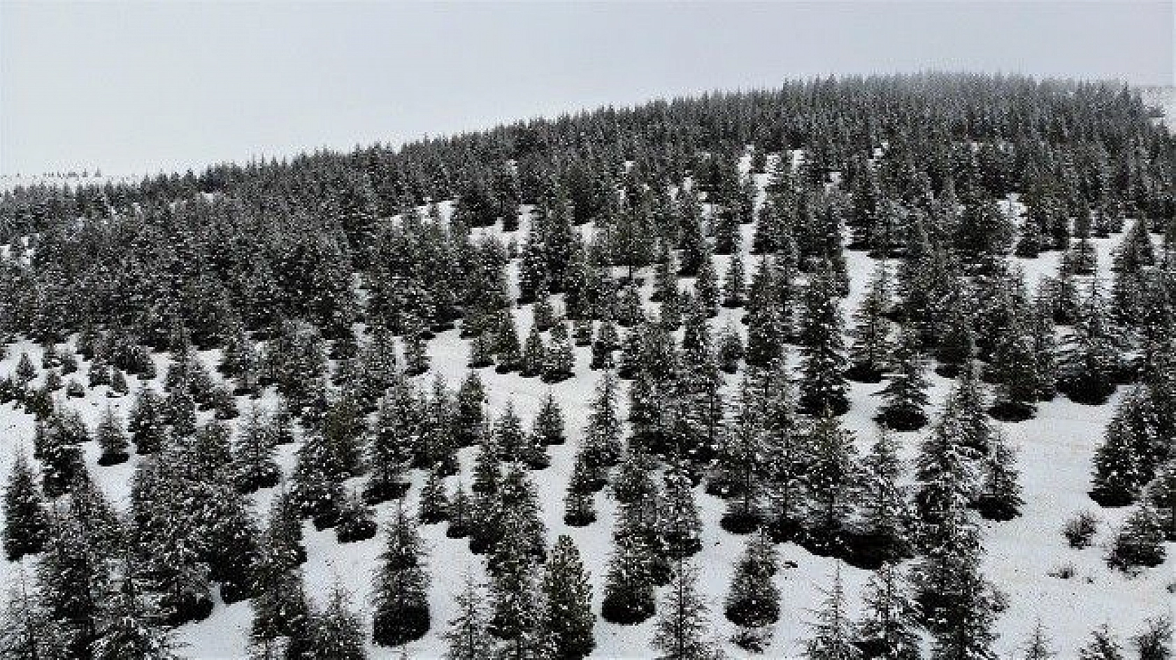 Elazığ'da kar ve sis altındaki tarihin eşsiz manzarası