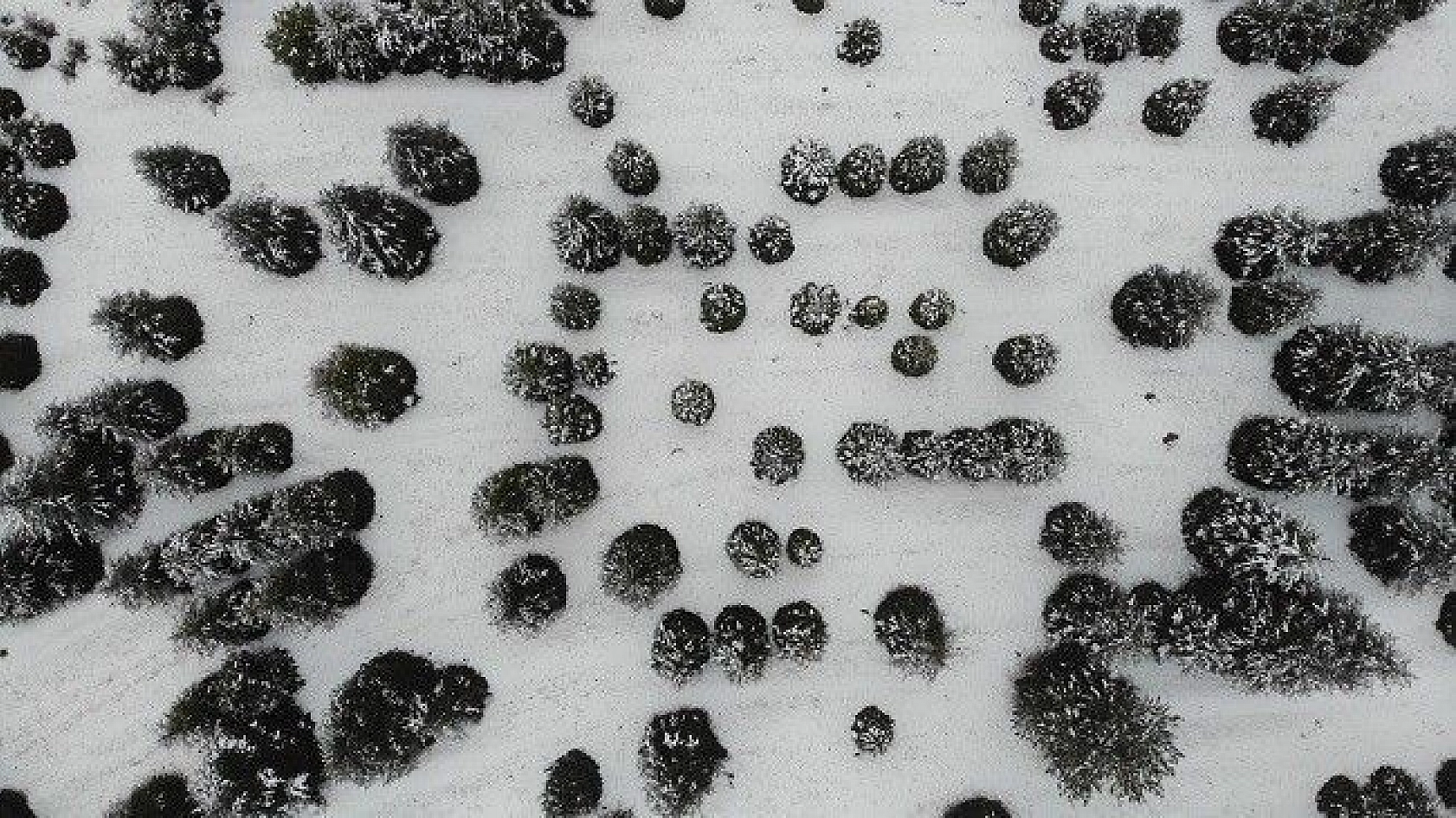 Elazığ'da kar ve sis altındaki tarihin eşsiz manzarası